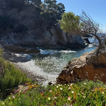 La Brisa Calallevado Tossa de Mar
